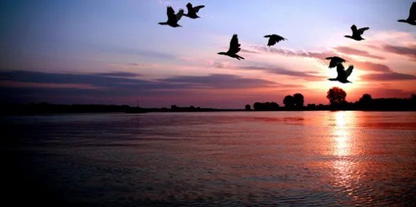 Strength Through Resilience